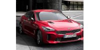 STINGER LIFTBACK (2020-....)